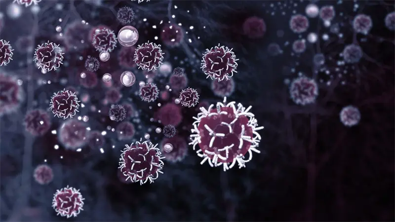 Científicos descubren un mecanismo bacteriano que podría destruir células tumorales