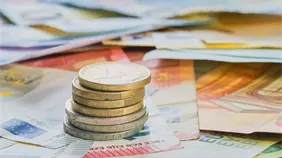 El euro, por debajo de 1,16 dólares, mínimo desde agosto, por crisis política en Francia
