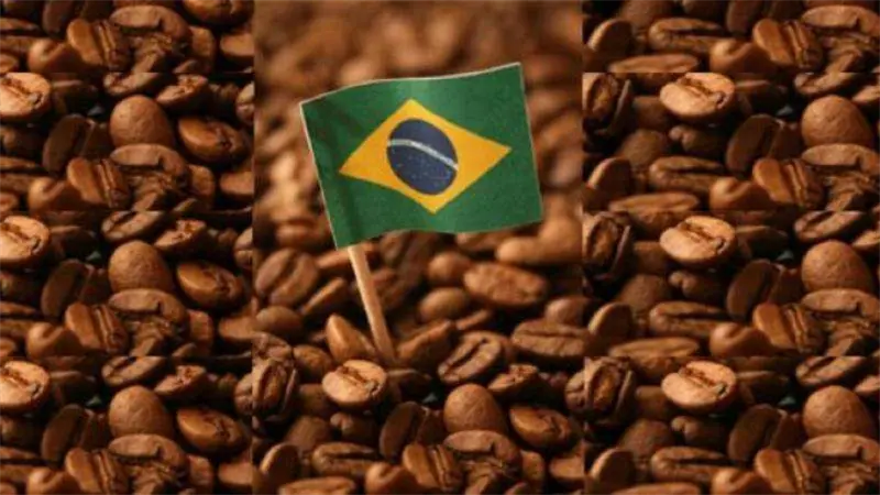 Las exportaciones de café de Brasil caen un 18,4 % en septiembre por los aranceles de EEUU