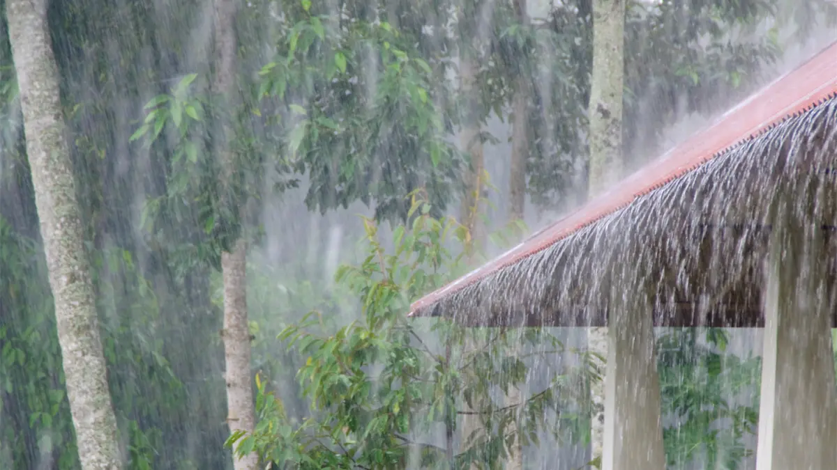 Onda tropical y vaguada provocan chubascos matutinos y aguaceros con tormentas eléctricas en la tarde