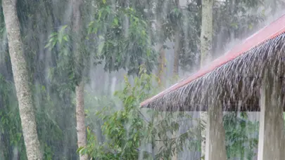 Onda tropical y vaguada provocan chubascos matutinos y aguaceros con tormentas el&eacute;ctricas en la tarde