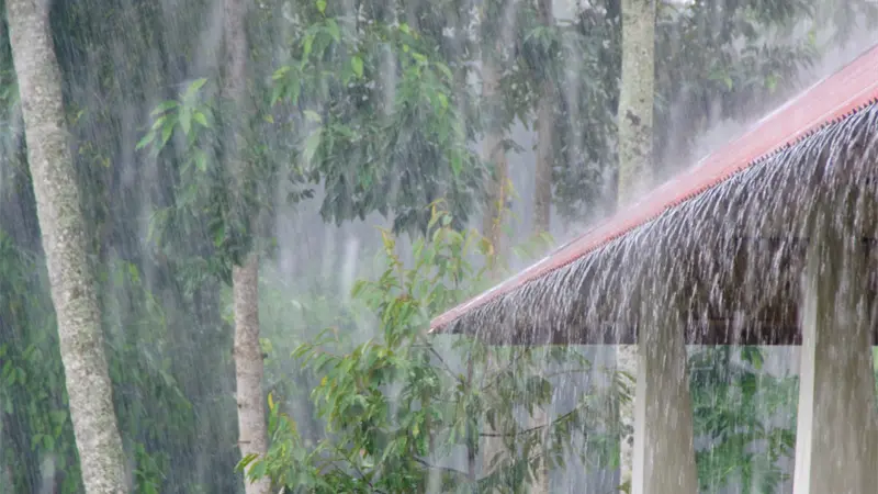Onda tropical y vaguada provocan chubascos matutinos y aguaceros con tormentas eléctricas en la tarde