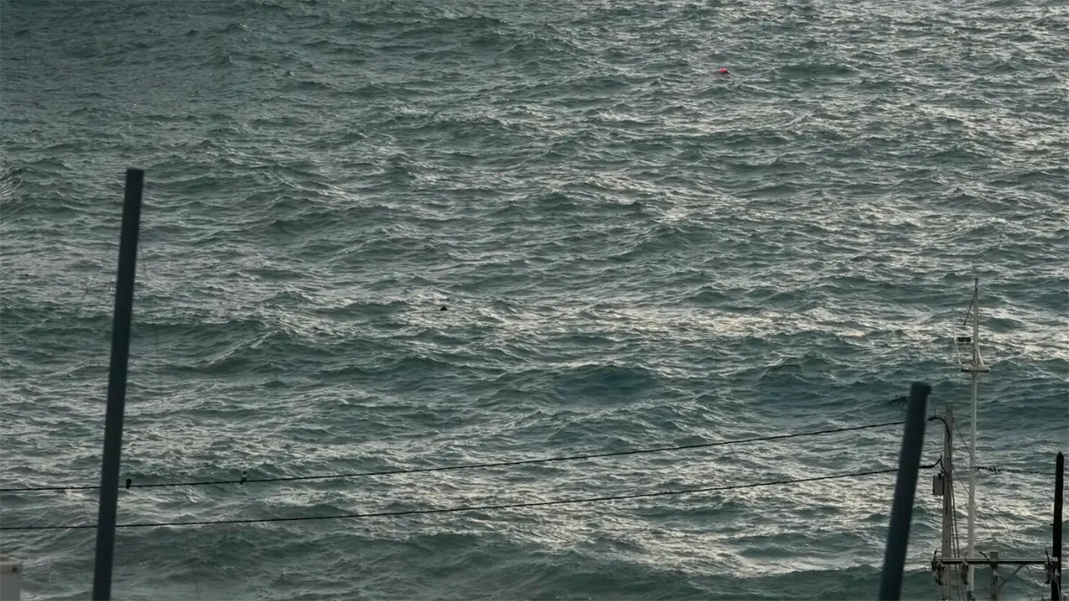 Terremoto cerca de la Antártida provocó una amenaza de tsunami para las costas chilenas