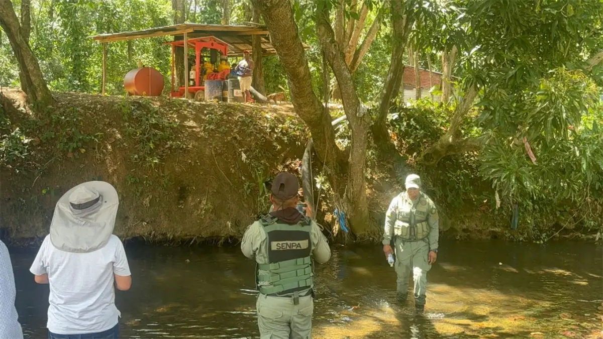 Autoridades mediambientales investigando