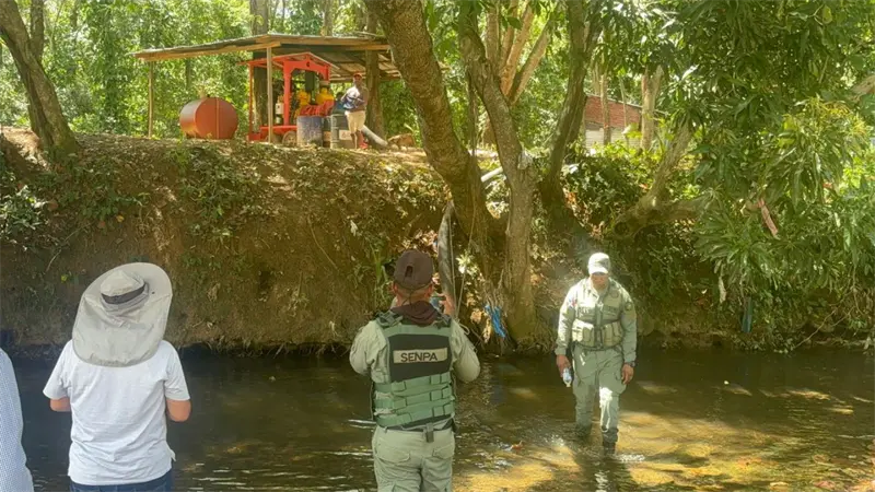 Contaminación de supuesto campo de golf provoca muerte de peces en ríos Matua e Higüero