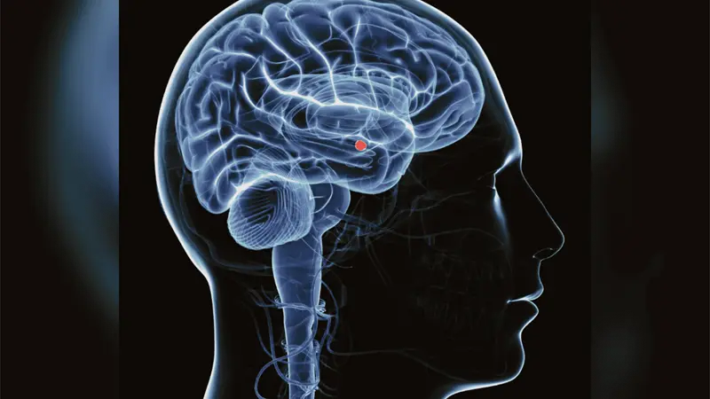 Agresión sexual afecta el cerebro con estrés postraumático