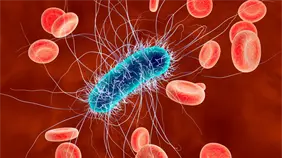 La OMS alerta sobre la creciente resistencia global de las bacterias a los antibióticos