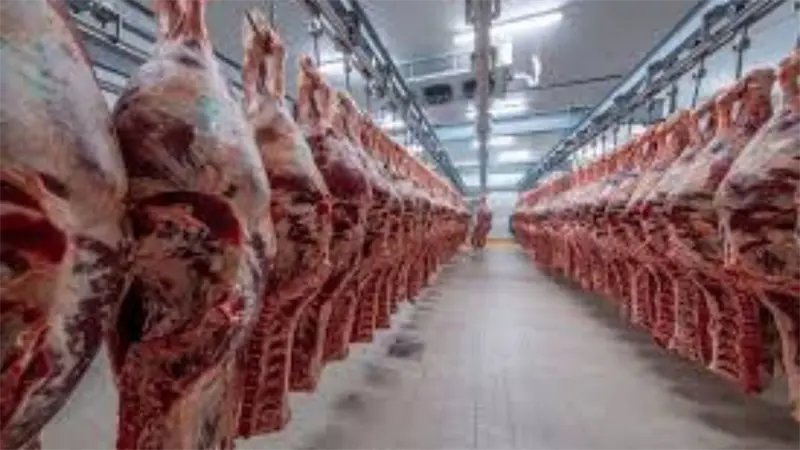 Industria cárnica mexicana busca diversificar mercados de exportación
