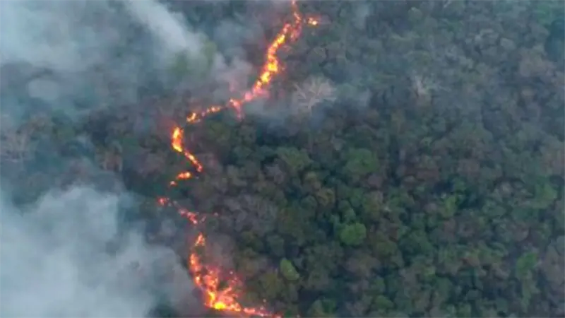 Incendio en frontera entre Paraguay y Bolivia arrasa con 16.000 hectáreas de vegetación