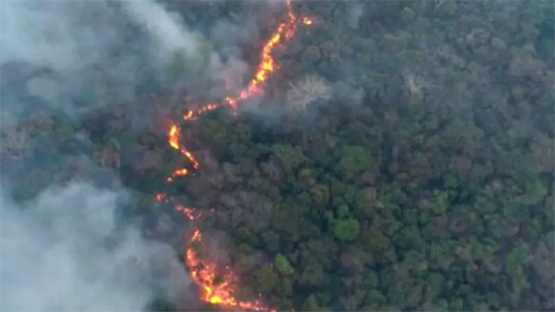 Incendio en la frontera entre Paraguay y Bolivia arrasa con 16.000 hectáreas de vegetación