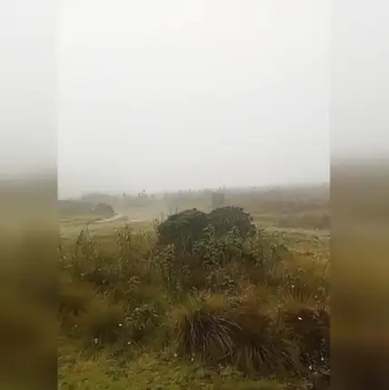 Lluvias moderadas y bajas temperaturas en Valle Nuevo