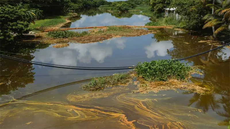 México trabaja en limpieza de río contaminado por derrame de hidrocarburo en Veracruz