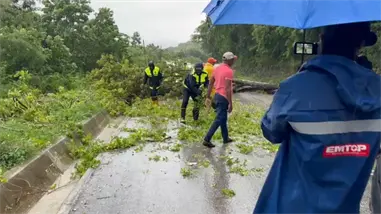 Árbol cae en la carretera Barahona tras lluvias provocadas por la tormenta Melissa