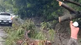Bomberos de Haina trabajan en restablecer el tránsito tras caída de árboles en la carretera Sánchez