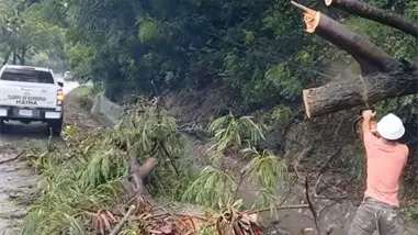Bomberos de Haina trabajan en restablecer el tránsito tras caída de árboles en la carretera Sánchez