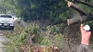 Bomberos de Haina trabajan en restablecer el tránsito tras caída de árboles en la carretera Sánchez
