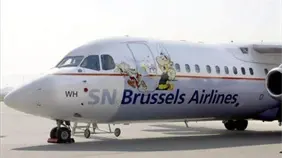 Brussels Airlines despide a 3 azafatas que se negaron a volar en un avión con insectos