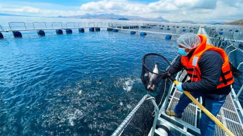 Países de latinoamericanos y caribeños adoptan medidas para proteger el mar Caribe