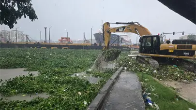 Limpieza de lila en el r&iacute;o Ozama mantiene reducido el tr&aacute;nsito en el puente flotante de Santo Domingo