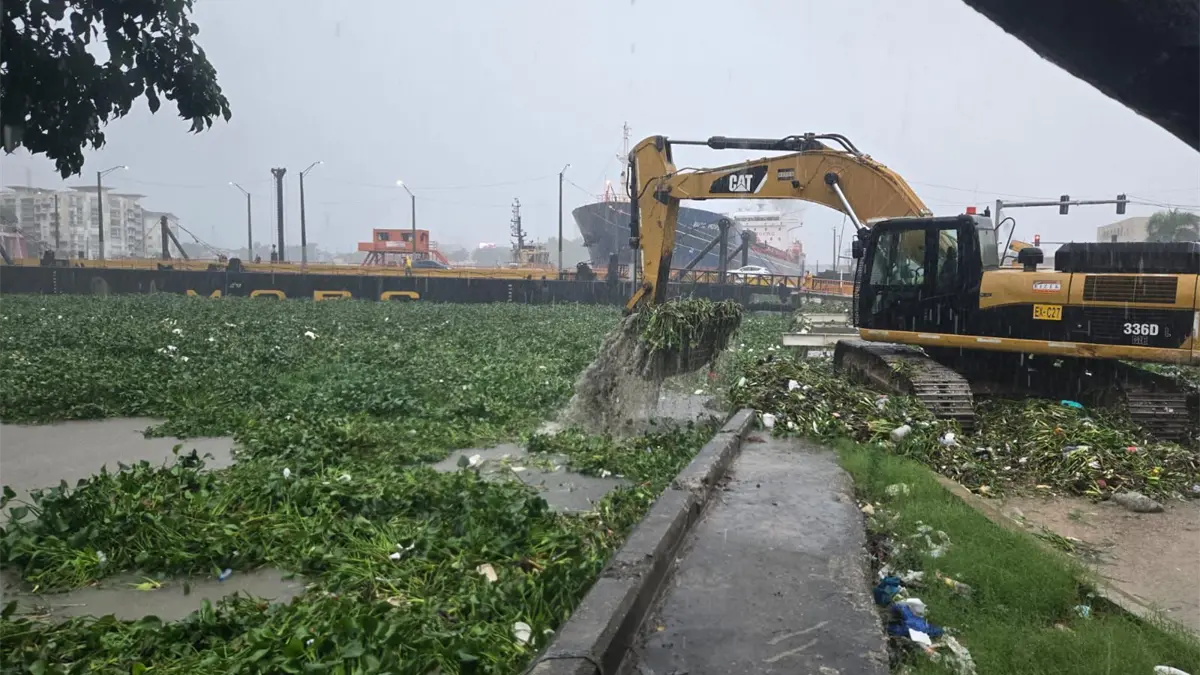 Reabren el puente flotante tras operativos de limpieza