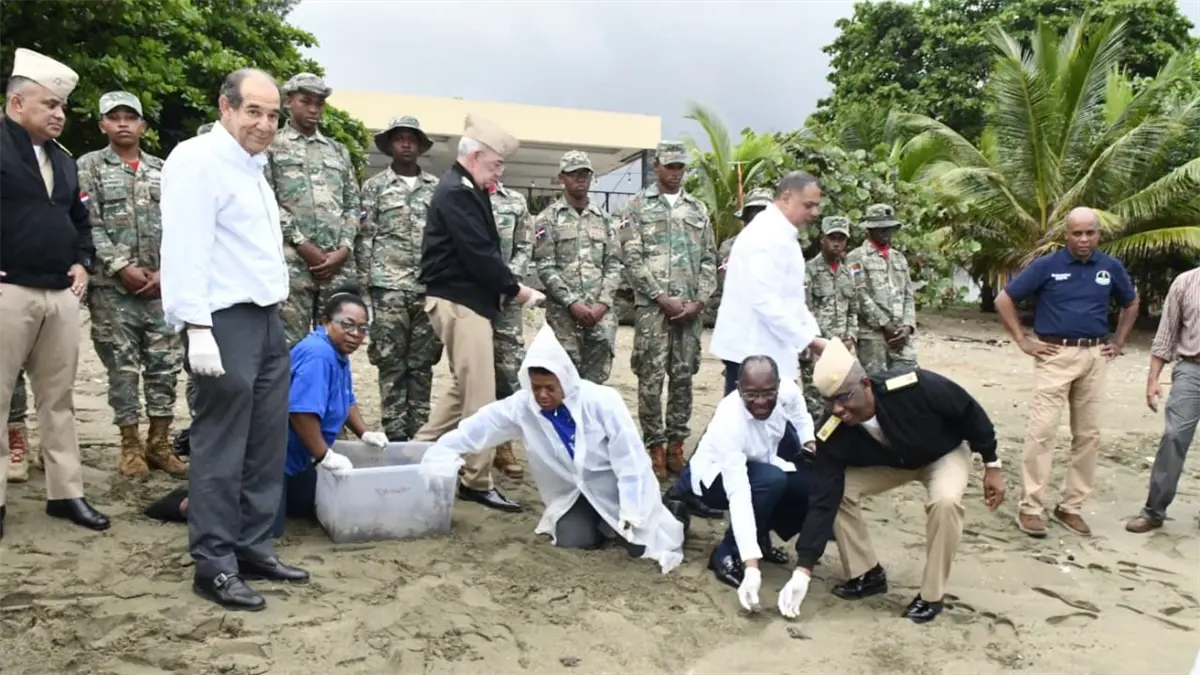 Armada y Acuario Nacional liberan tortugas marinas en el Santuario de Sans Souci