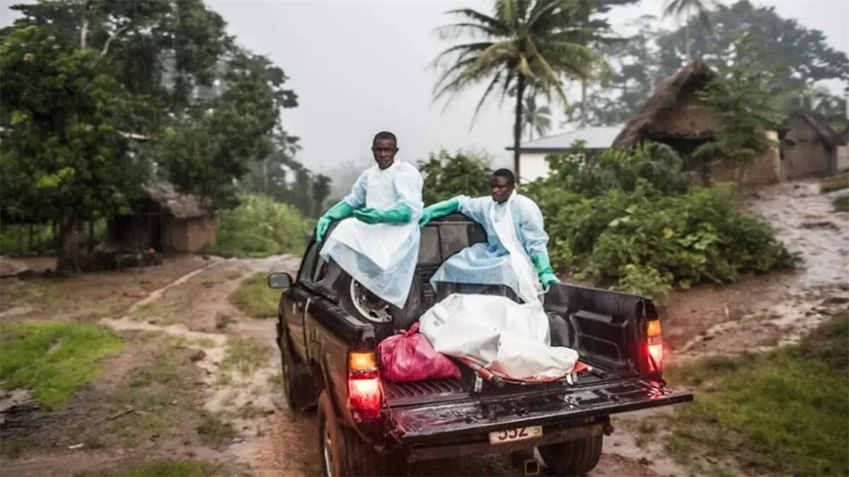Brote letal de fiebre del Valle del Rift