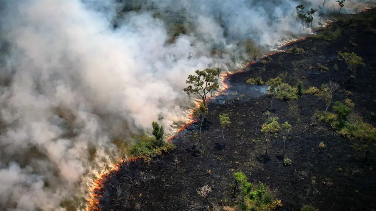 Brasil atribuye la caída de la deforestación amazónica a sus rígidas políticas ambientales