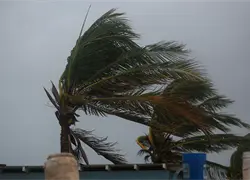 Dominicanos quedan a la intemperie tras paso de Melissa