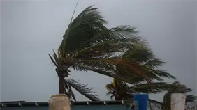 Dominicanos quedan a la intemperie tras paso de Melissa