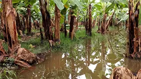 División en el Congreso por informe de Agricultura sobre daños de la tormenta Melissa