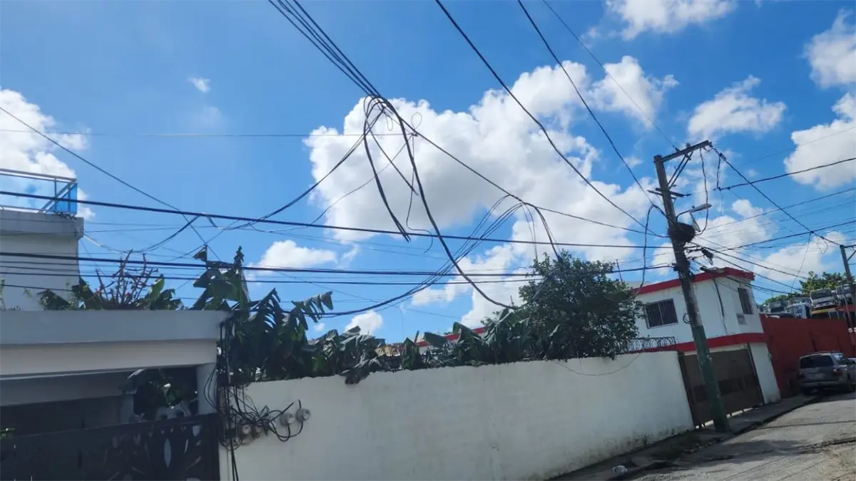 Mujer denuncia lleva cinco días sin luz tras brigada de Edesur dañar su sistema eléctrico y provocar la muerte de sus peces