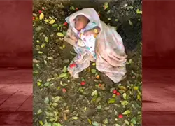 Hallan recién nacida abandonada frente a un negocio de comida rápida en Dajabón