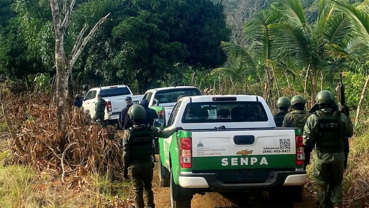 SENPA y Medio Ambiente refuerzan operativos en todo el país