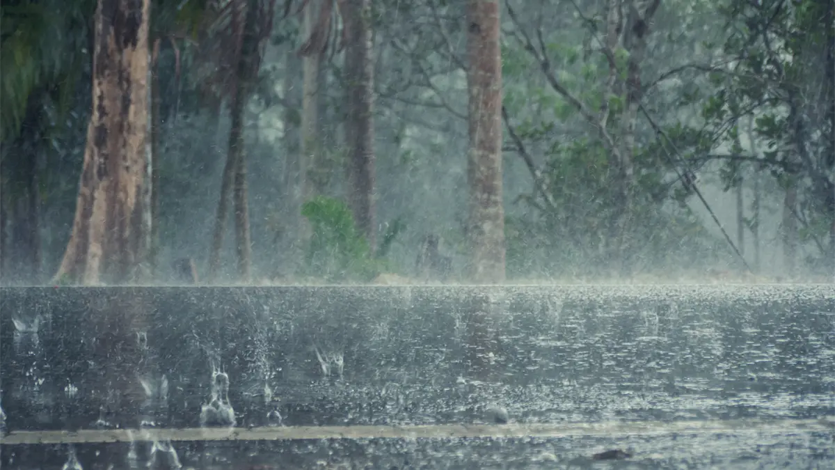 Vaguada provocará aguaceros y tronadas en varias provincias del país