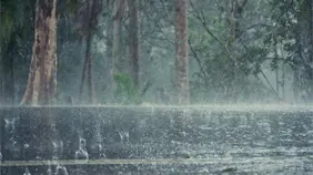 Vaguada provocará aguaceros y tronadas en varias provincias del país