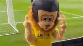 Mascota se hace viral por su inusual comportamiento en un partido de fútbol