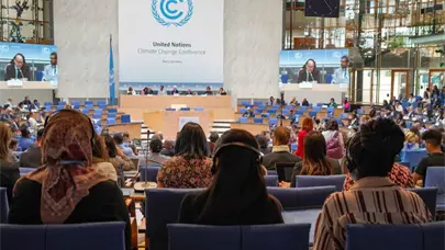 Alemania apela a no ceder al fatalismo en la COP30 de Bel&eacute;m
