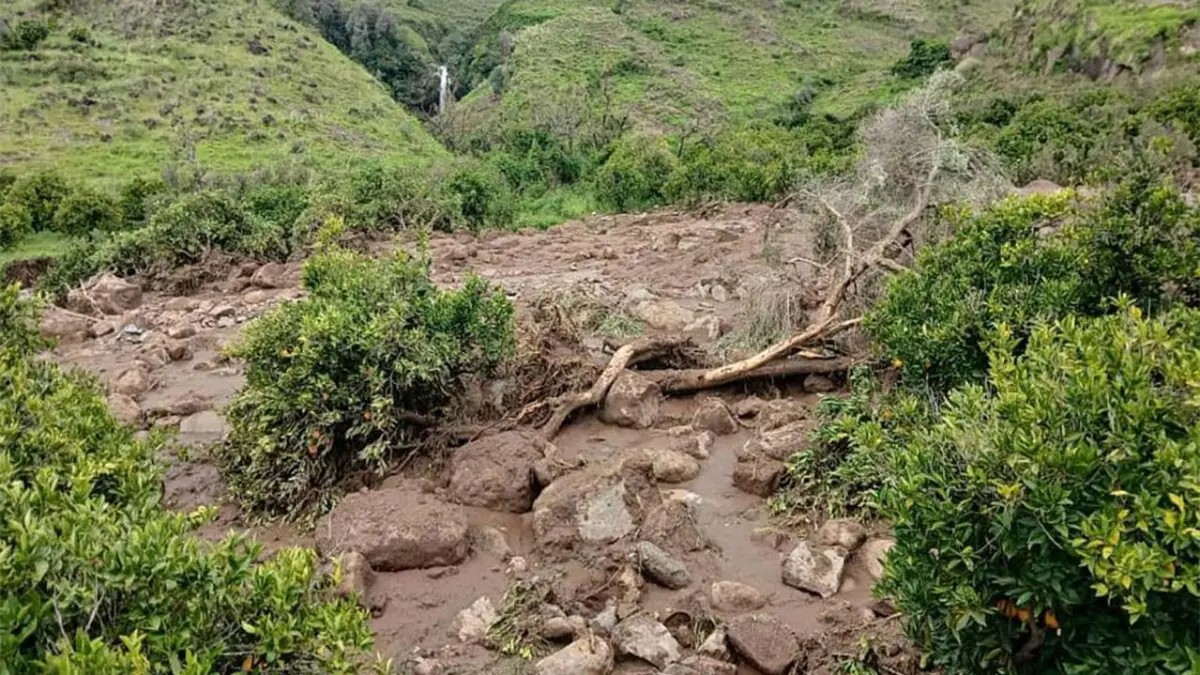 Aumentan a 35 los muertos por un corrimiento de tierra tras fuertes lluvias en Kenia