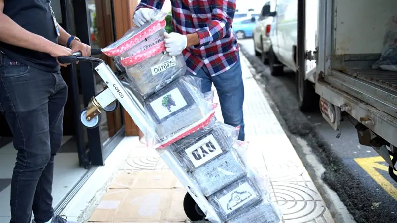 DNCD desarticula estructura; arresta cinco hombres e incauta 150 paquetes de cocaína en Azua