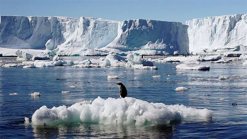 La Antártida ya acumula tantos compuestos sintéticos en el agua como el Atlántico Norte