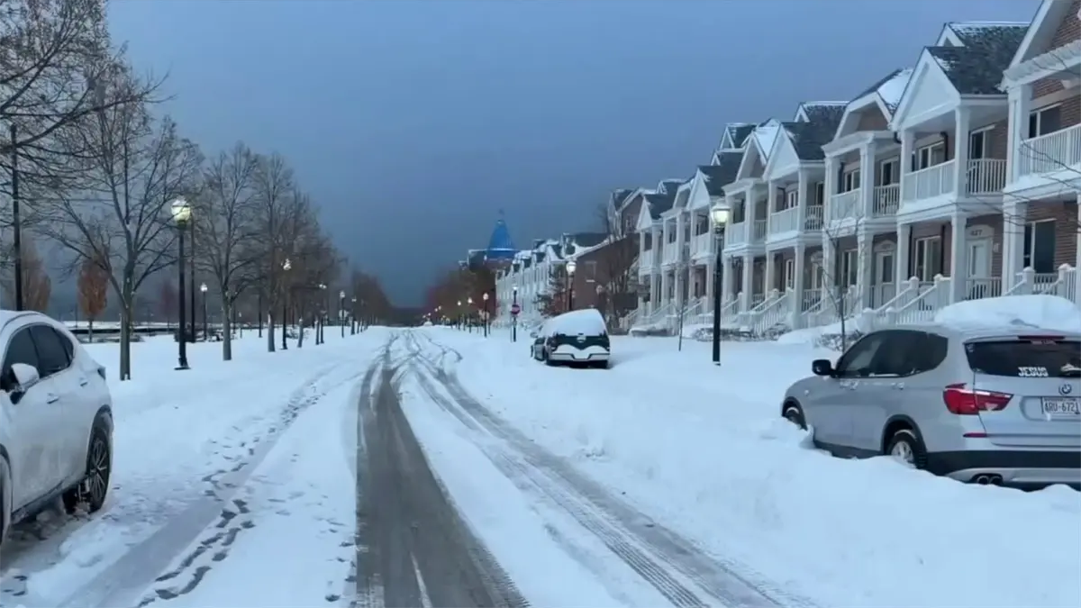 La primera ola de frío ártico de la temporada afecta a 200 millones de personas en EE.UU.