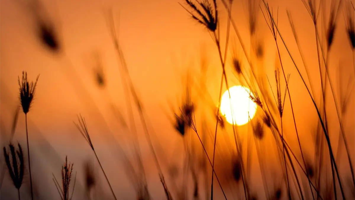 Chubascos aislados afectarán zonas del este y centro del país, según INDOMET