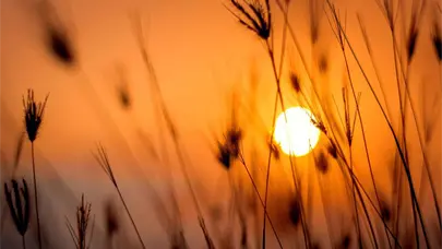 Chubascos aislados afectar&aacute;n zonas del este y centro del pa&iacute;s, seg&uacute;n INDOMET