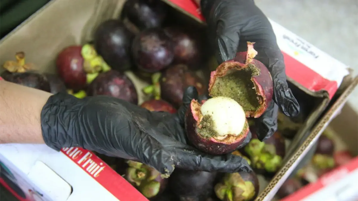 Cae en España una red que traía cocaína mezclada con pulpa de fruta de Colombia