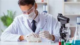 El Gobierno británico planea eliminación gradual de los experimentos médicos con animales