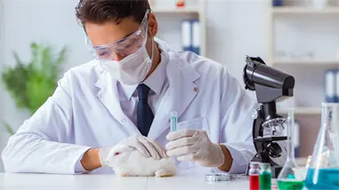 El Gobierno británico planea eliminación gradual de los experimentos médicos con animales