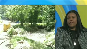 Marielis Ponciano considera acertadas observaciones a la Ley de Residuos Sólidos, pero advierte falta de capacidad técnica