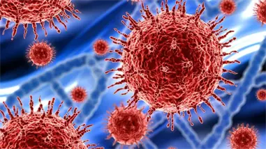 Vinculan el lupus con un virus que casi todos los humanos portan