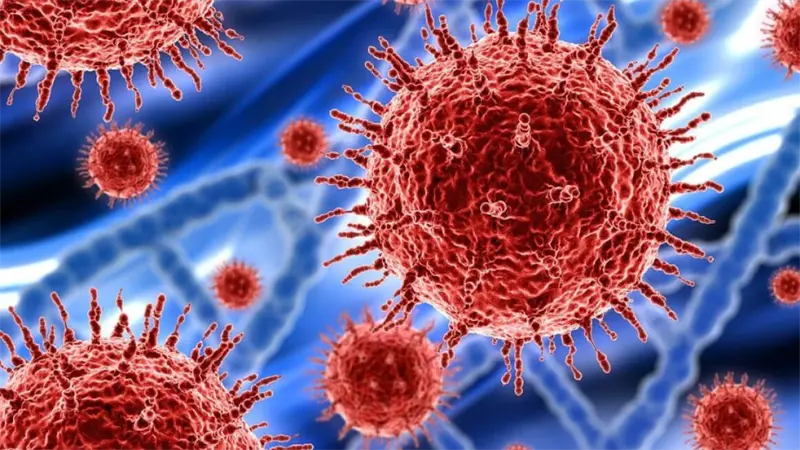 Vinculan el lupus con un virus que casi todos los humanos portan