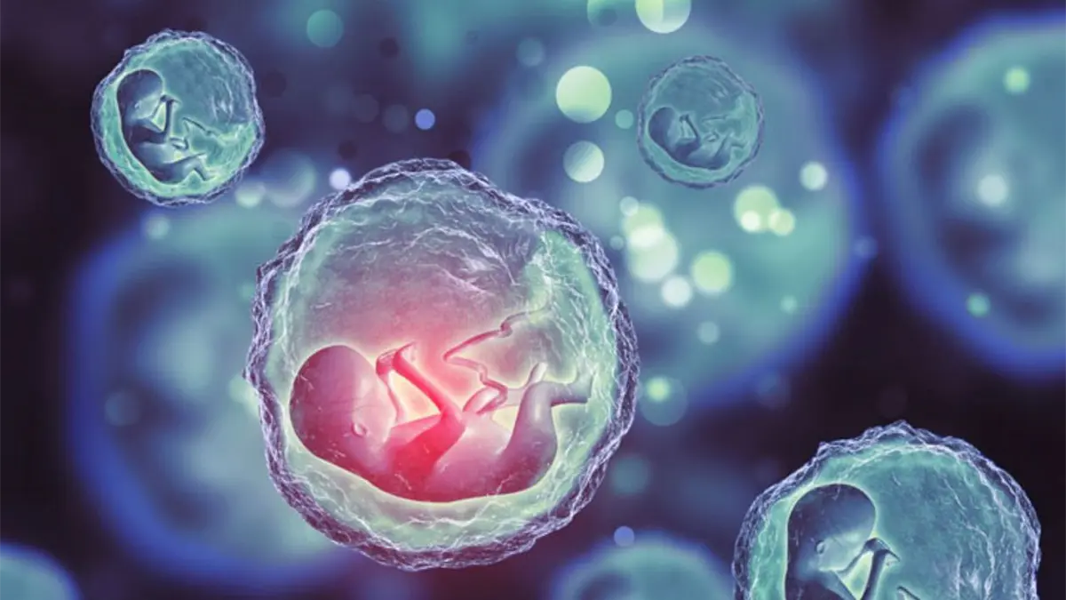 Desaparecen cientos de embriones tras el cierre de una clínica de fertilidad